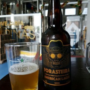 Forasteira American Lager