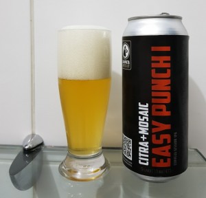 Capa Preta Easy Punch I