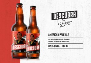 Descubra APA
